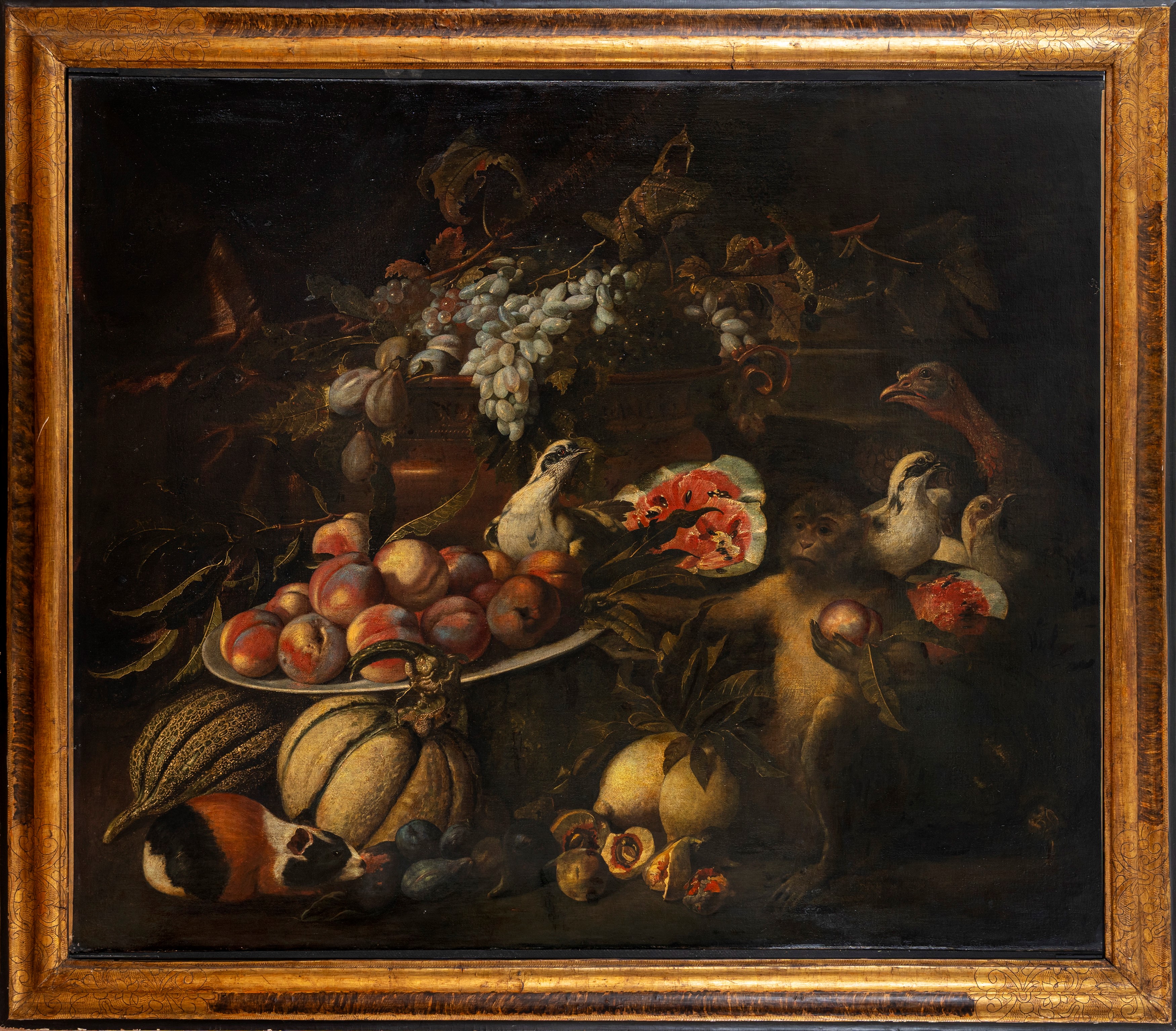 Natura morta di frutta con scimmia, porcellino d'india e volatili