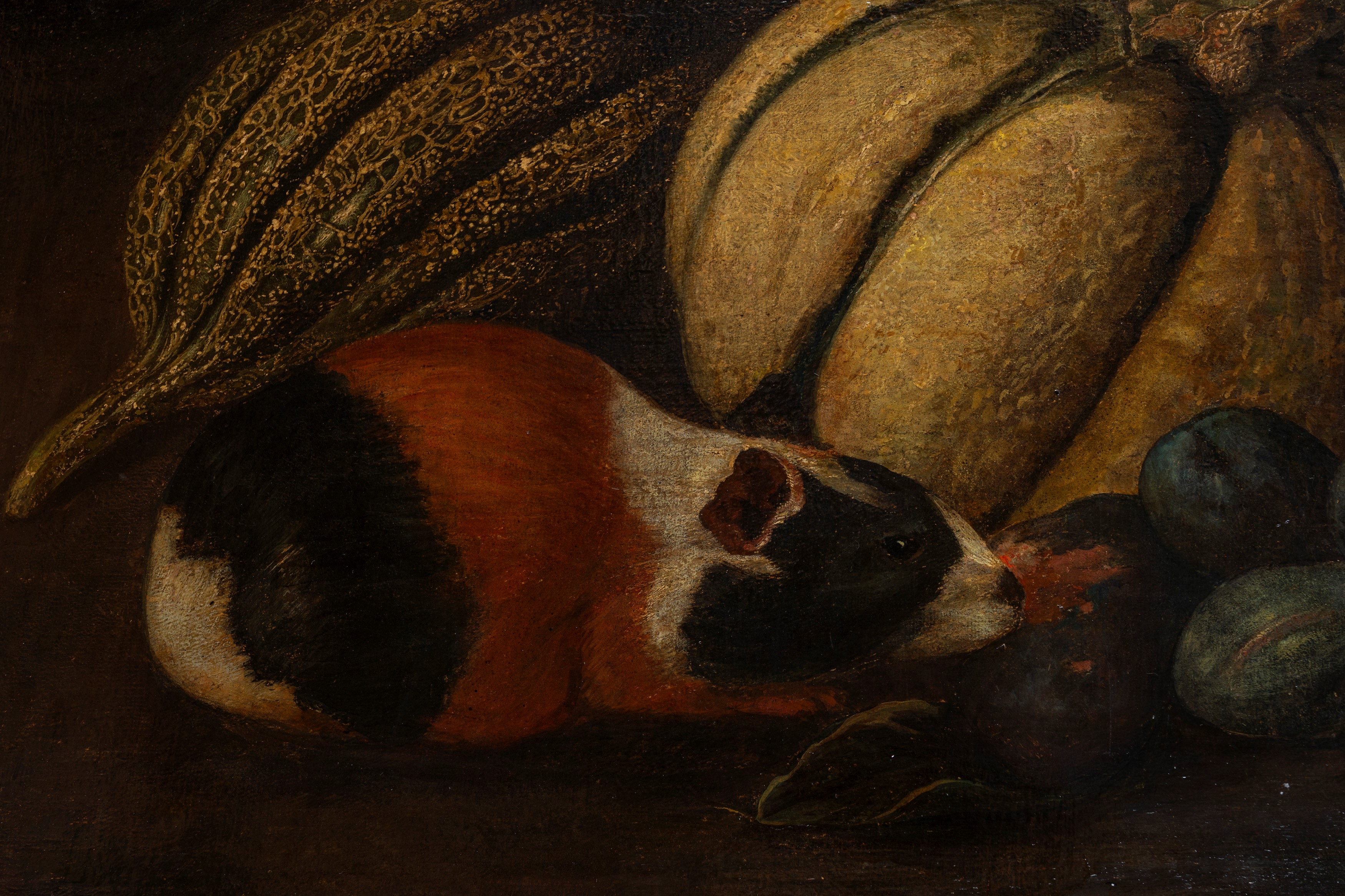 Natura morta di frutta con scimmia, porcellino d'india e volatili