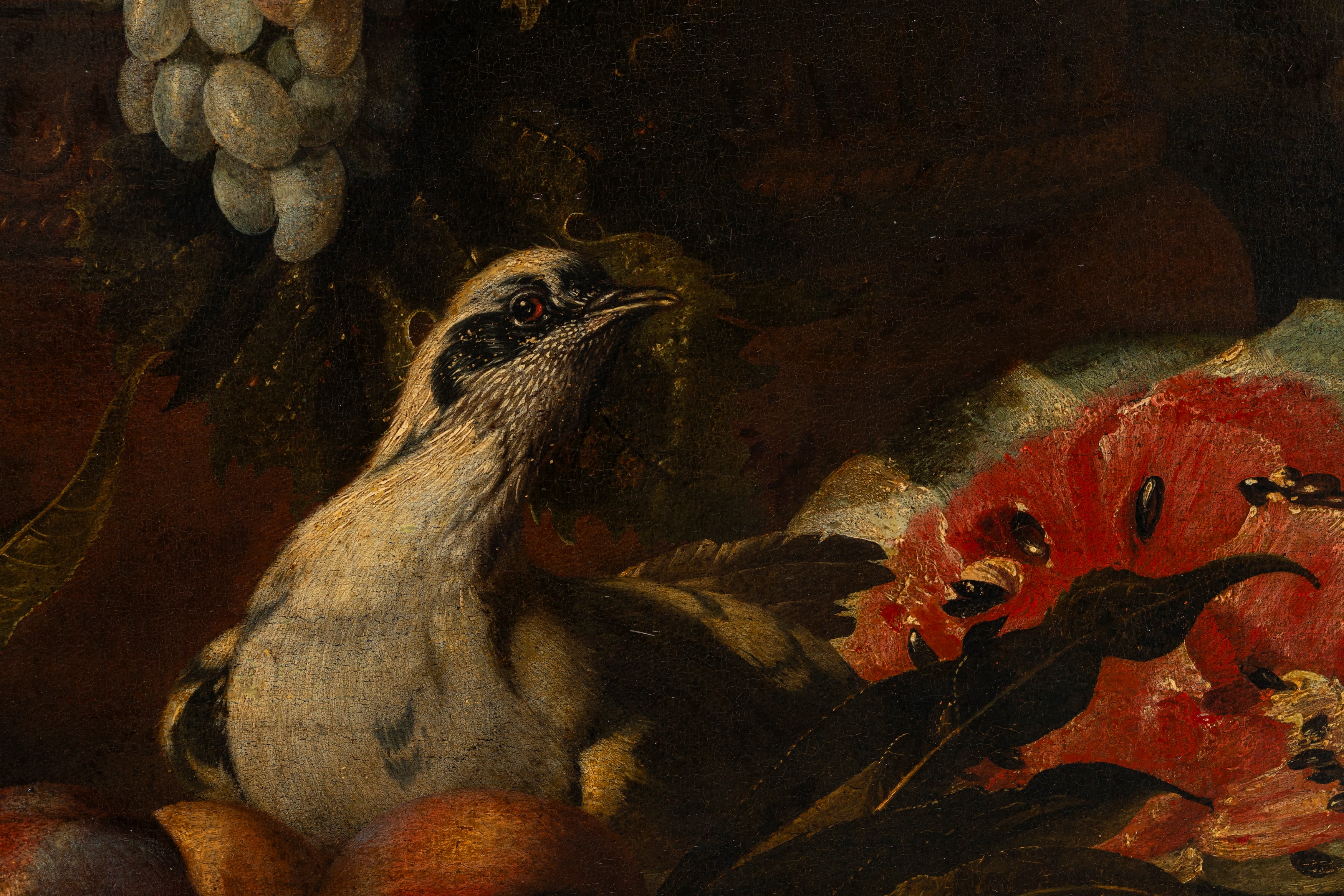 Natura morta di frutta con scimmia, porcellino d'india e volatili