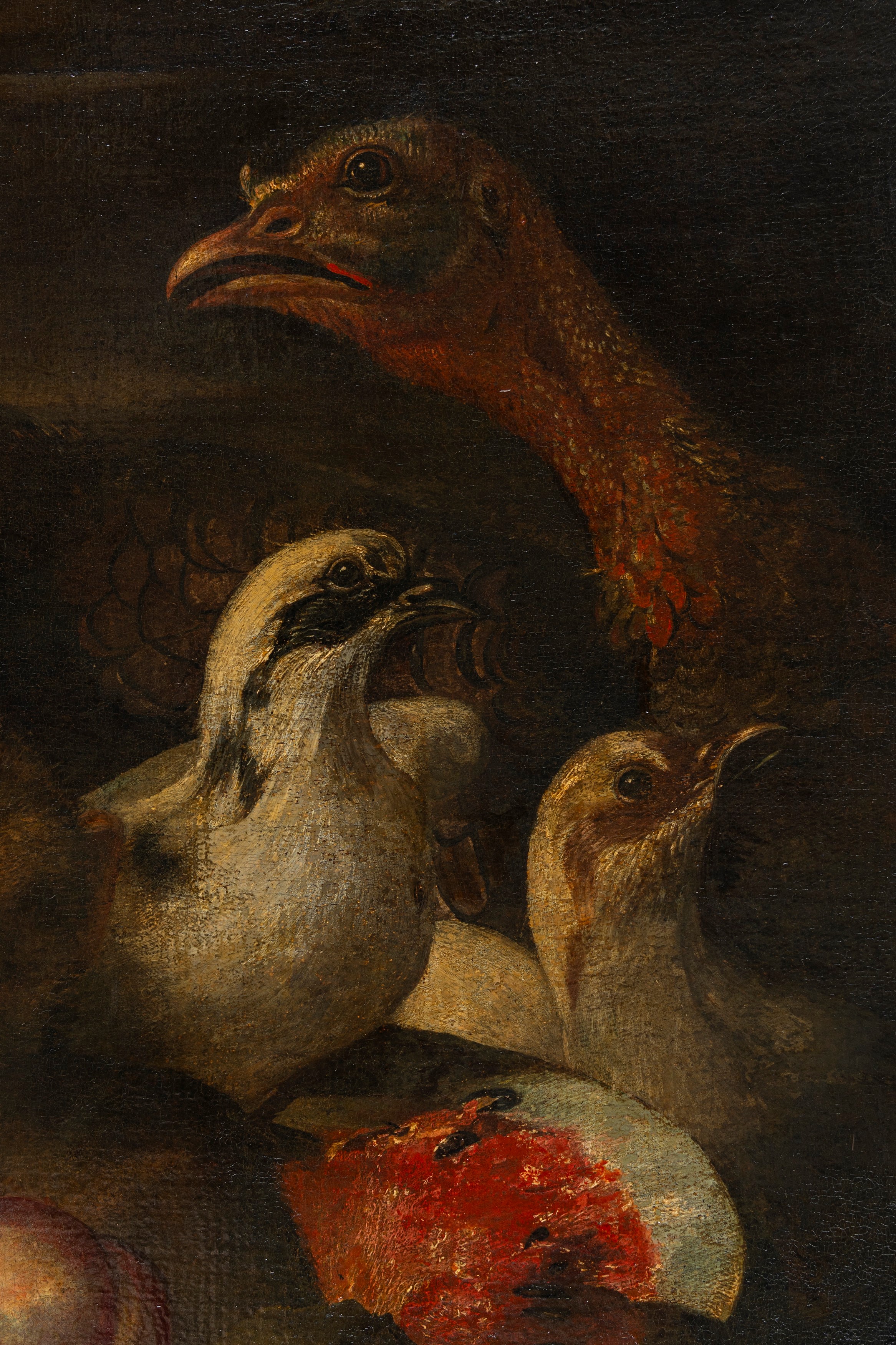 Natura morta di frutta con scimmia, porcellino d'india e volatili