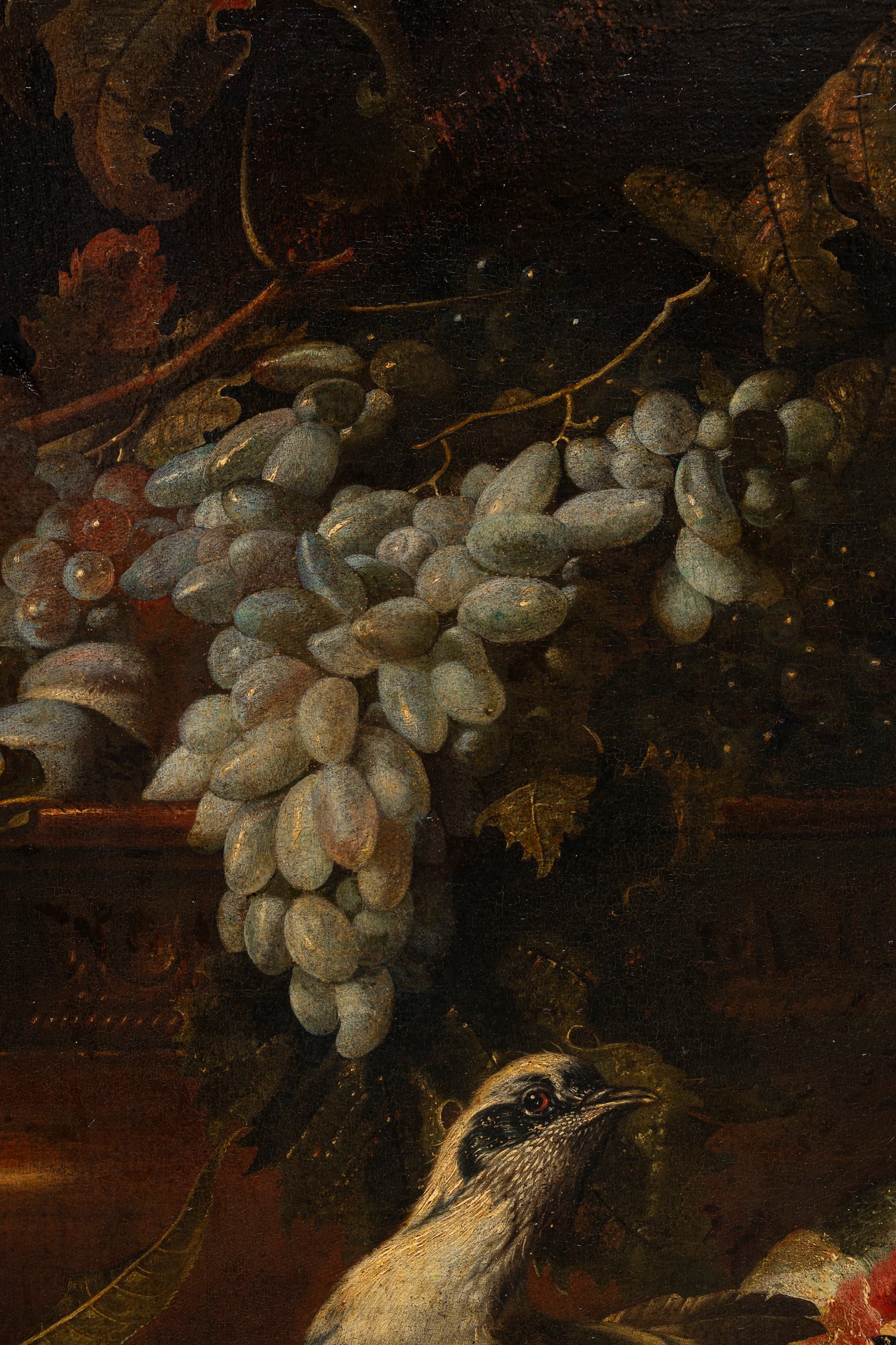 Natura morta di frutta con scimmia, porcellino d'india e volatili