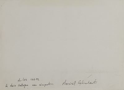 Arles (1992), Transfer Polaroid