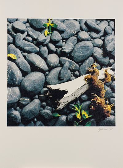 Sassaia, litografia a colori, 1999