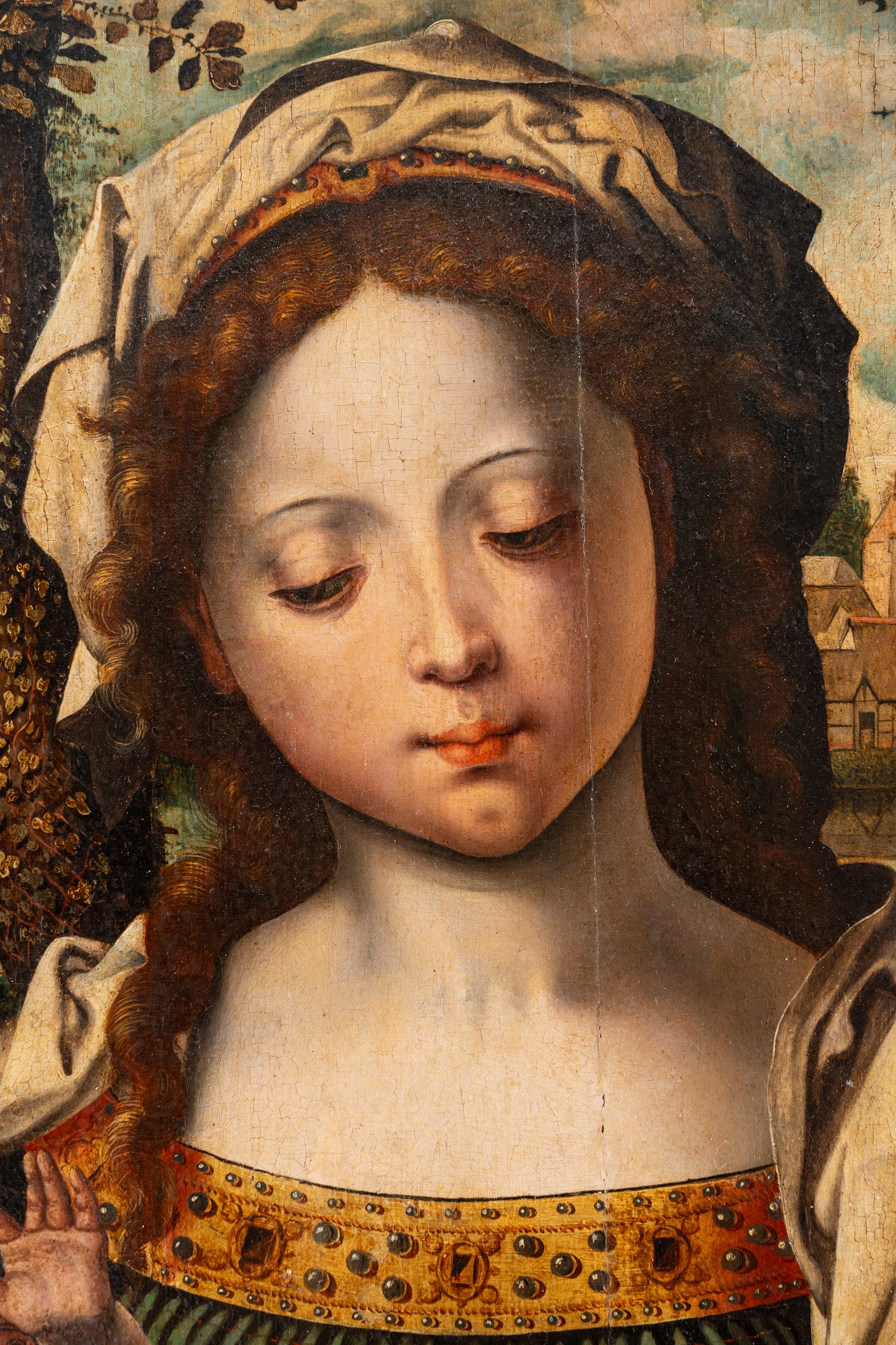 Pieter i Coecke Van Aelst - Madonna con Bambino, olio su tavola
