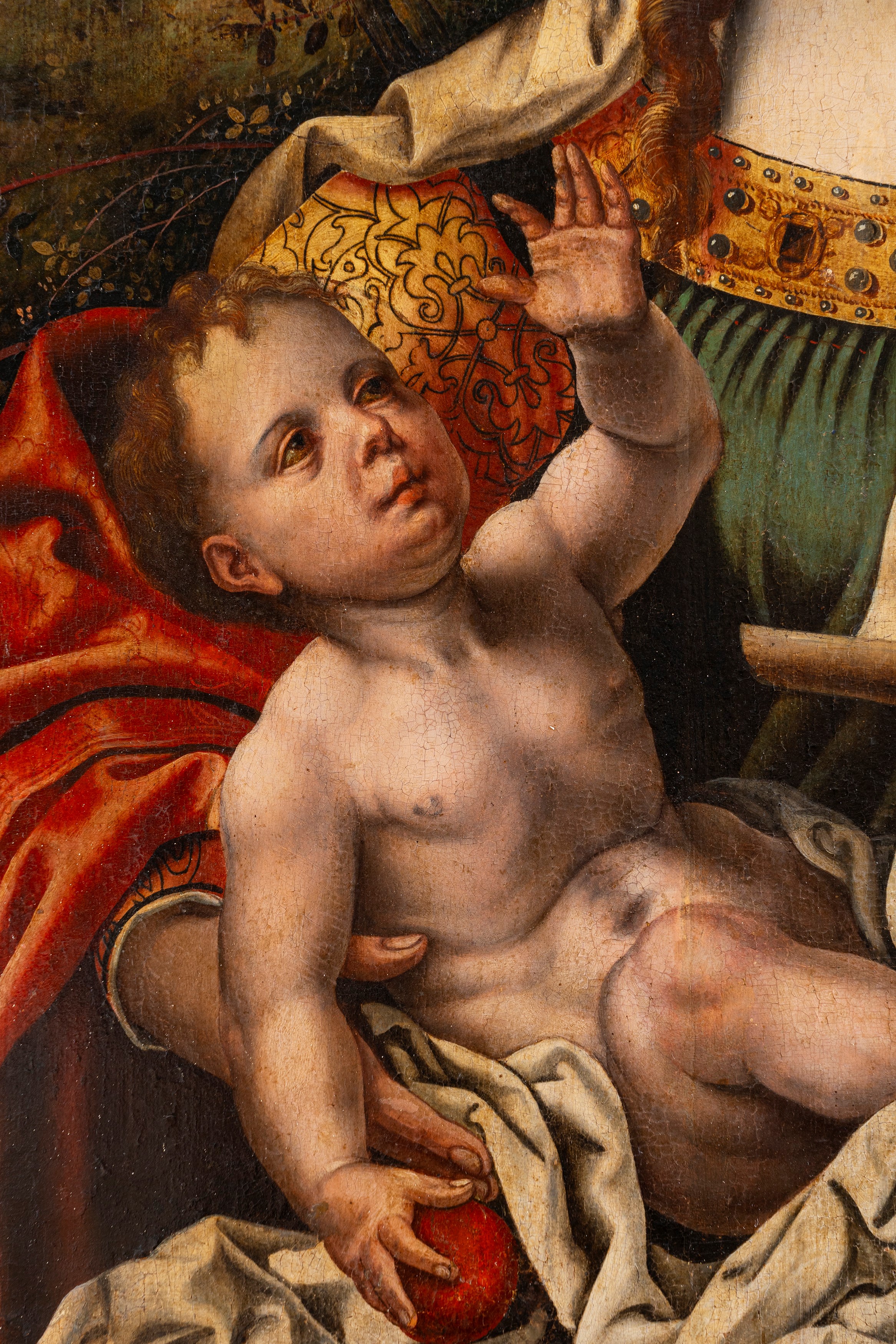 Pieter i Coecke Van Aelst - Madonna con Bambino, olio su tavola
