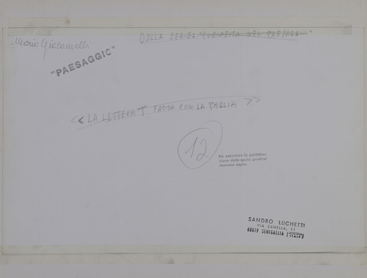Mario Giacomelli - La lettera T fatta con la paglia, stampa ai sali d'argento