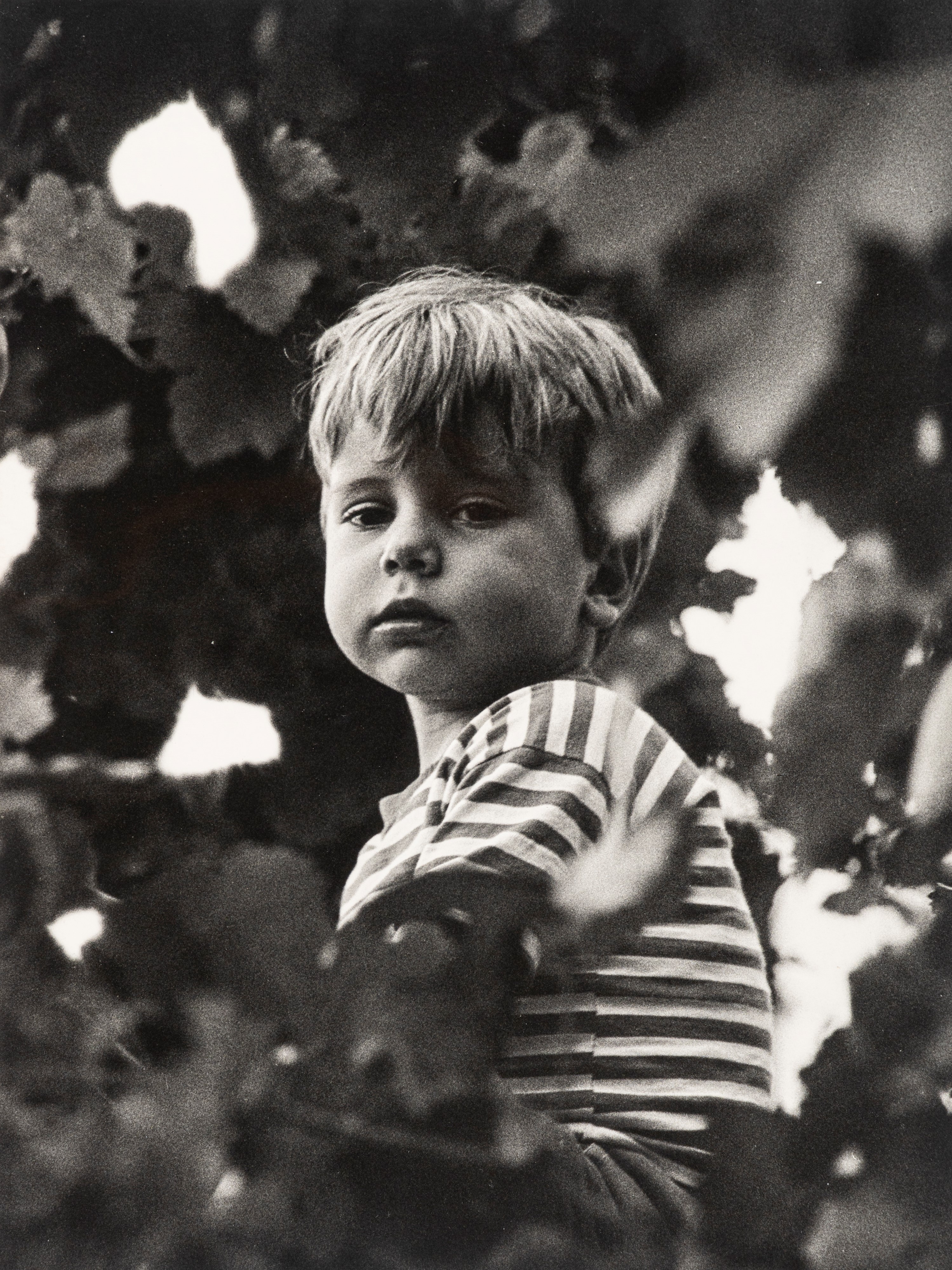 Stefano Robino - Ritratto - Tre stampe vintage alla gelatina ai sali d'argento, anni 1960