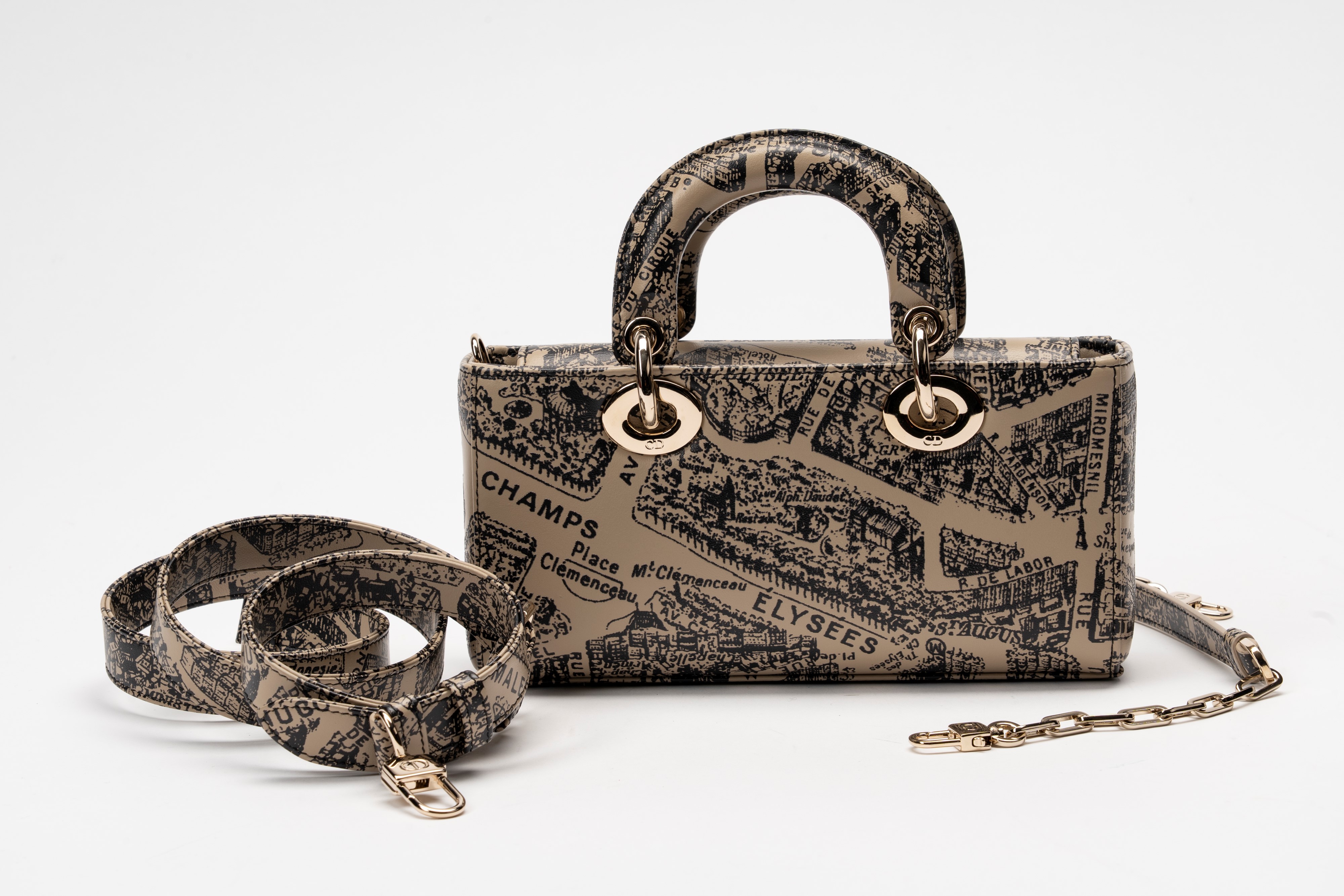 Christian Dior - Borsa Lady D-Joy in pelle stampata Plan de Paris