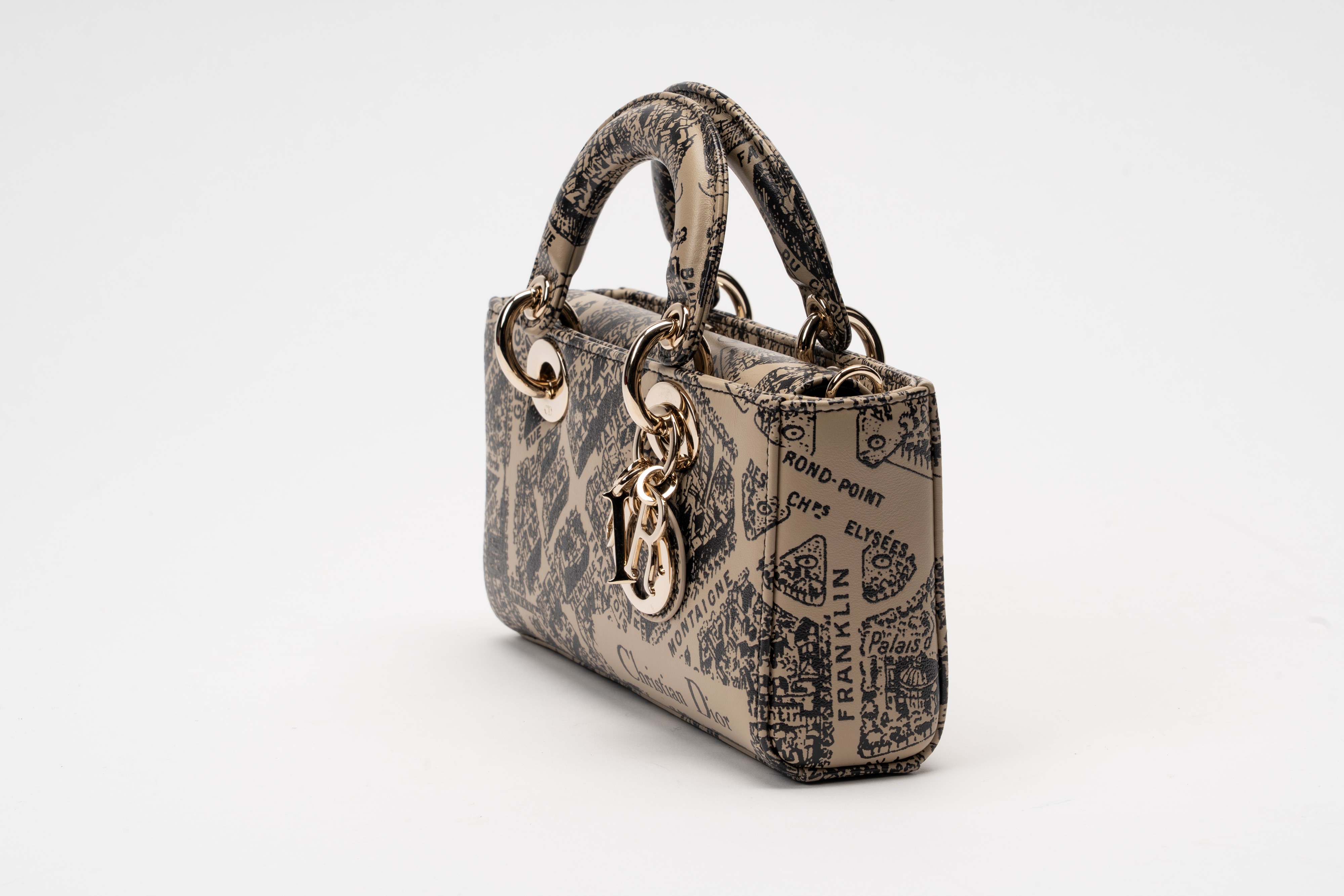 Christian Dior - Borsa Lady D-Joy in pelle stampata Plan de Paris