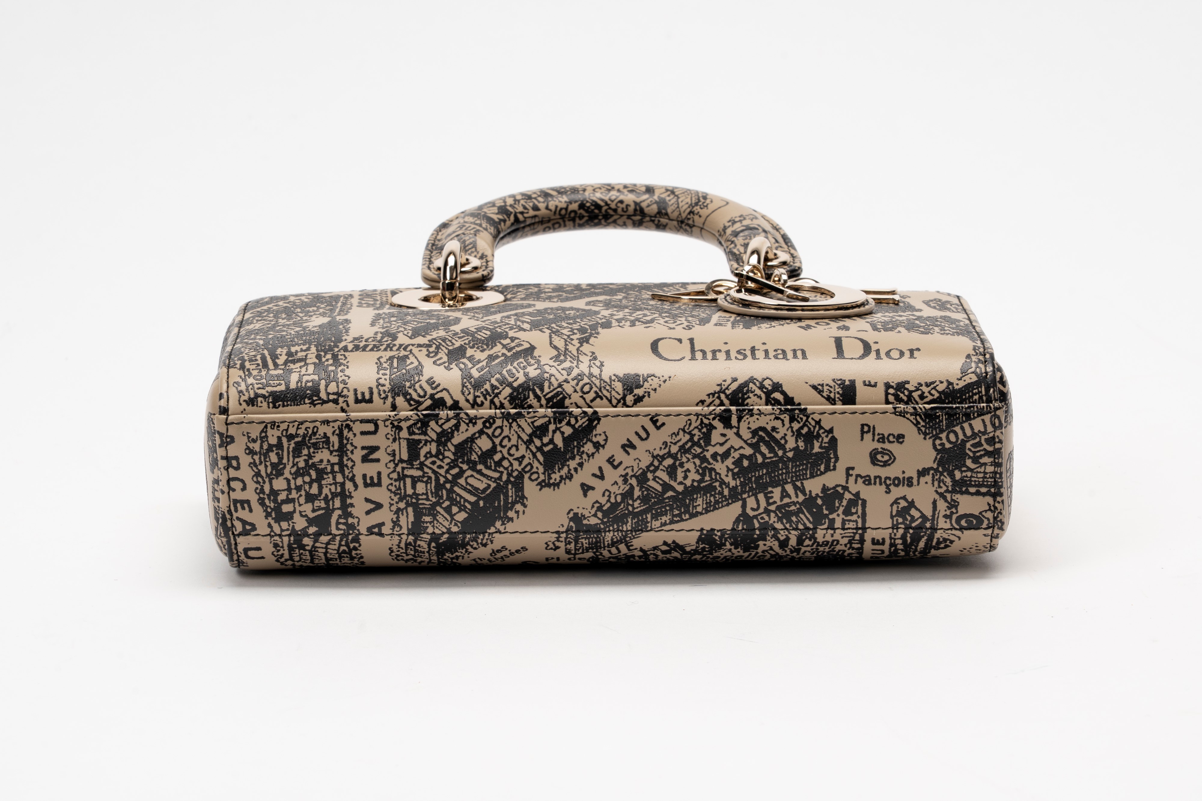 Christian Dior - Borsa Lady D-Joy in pelle stampata Plan de Paris