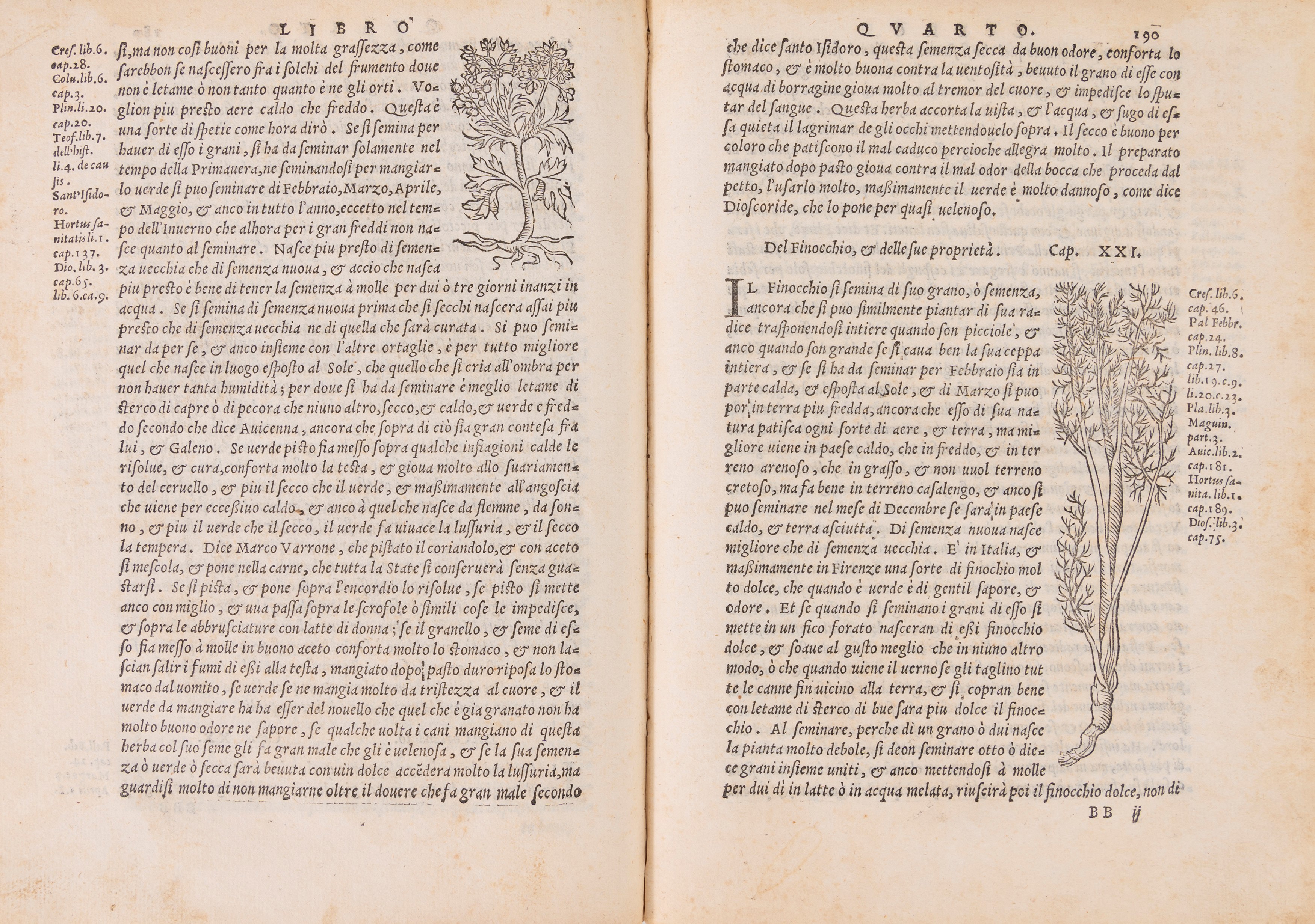 Gabriel Alonso Herrera - Libro di agricoltura utilissimo - Prima edizione italiana del 1557