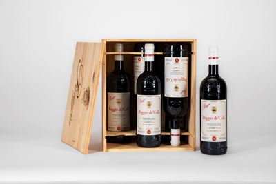Mauro Vanucci Cabernet Franc Poggio De Colli Igt (6 Bt)