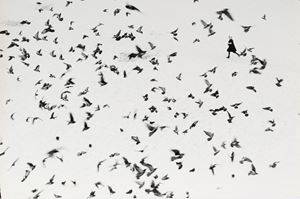 Neve in Piazza San Marco, Venezia