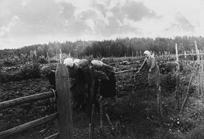 Senza titolo (Dopo la cacciata dei fascisti)