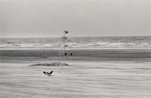 Senza titolo (Zeebrugge, Mare del Nord)