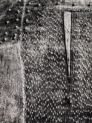 Presa di coscienza sulla natura