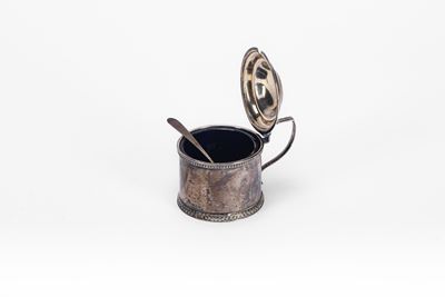 Mostardiera in argento, Dublino 1766