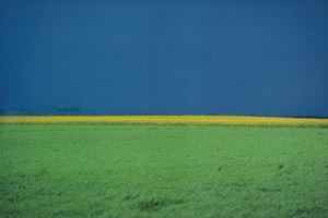 Paesaggio