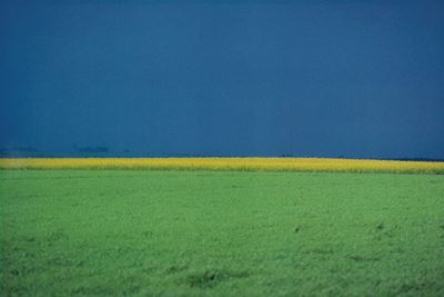 Paesaggio, stampa cromogenica del 1982