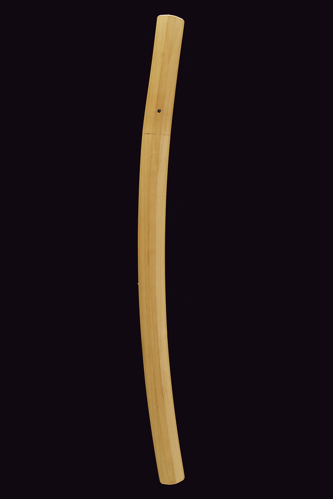 Kaneie, Wakizashi in shirasaya - Giappone, Periodo Edo