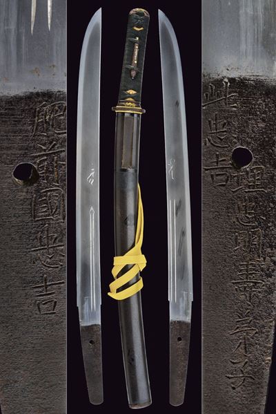 Hizen-no-kuni Tadayoshi, Wakizashi in koshirae con dettagli decorativi e tecnici dell'Era Edo