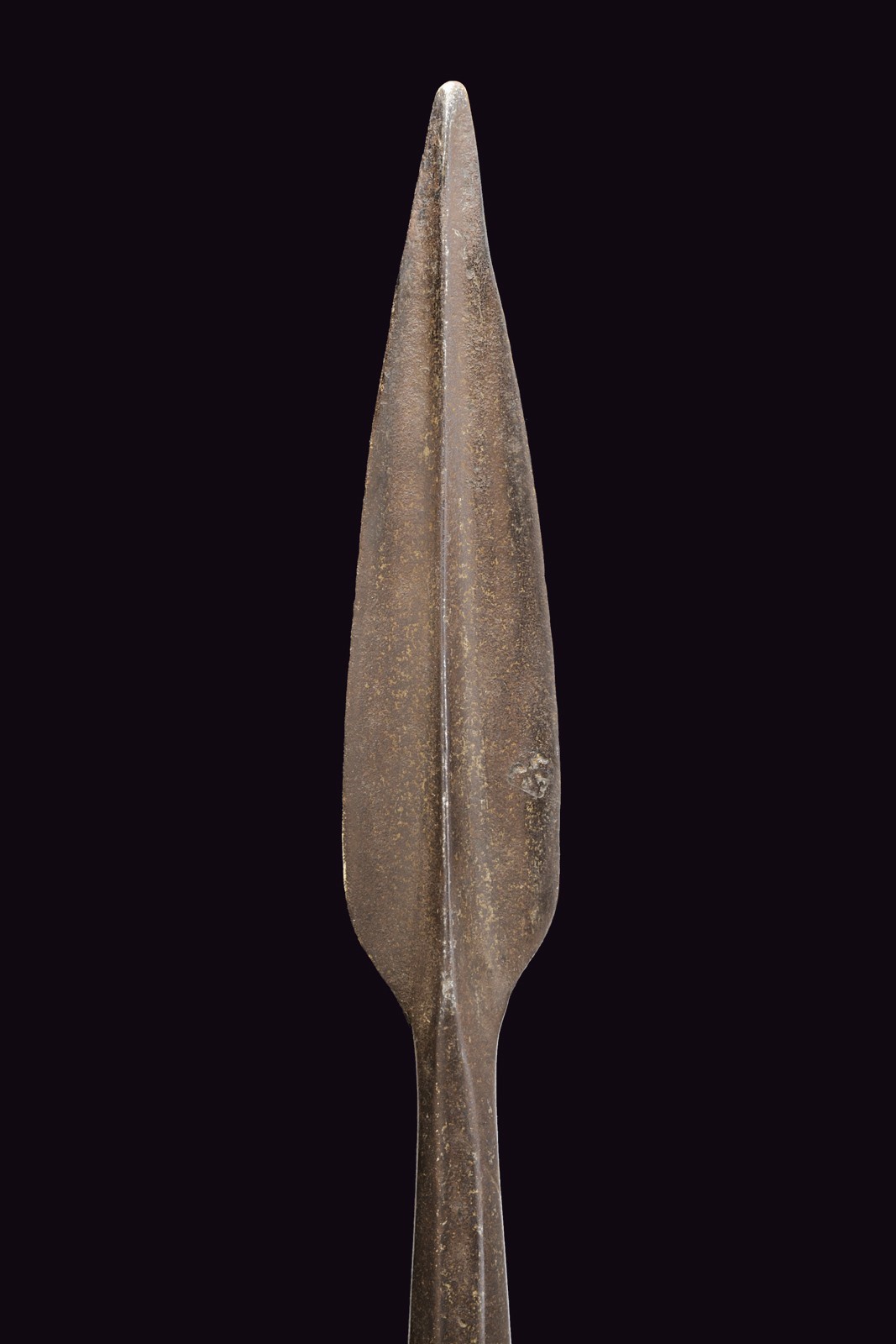 Spiedo, ferro battuto, XVI secolo, altezza 220 cm
