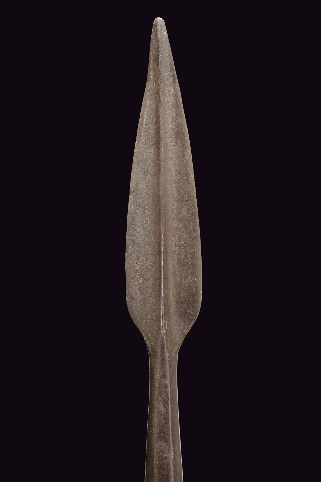 Spiedo, ferro battuto, XVI secolo, altezza 220 cm