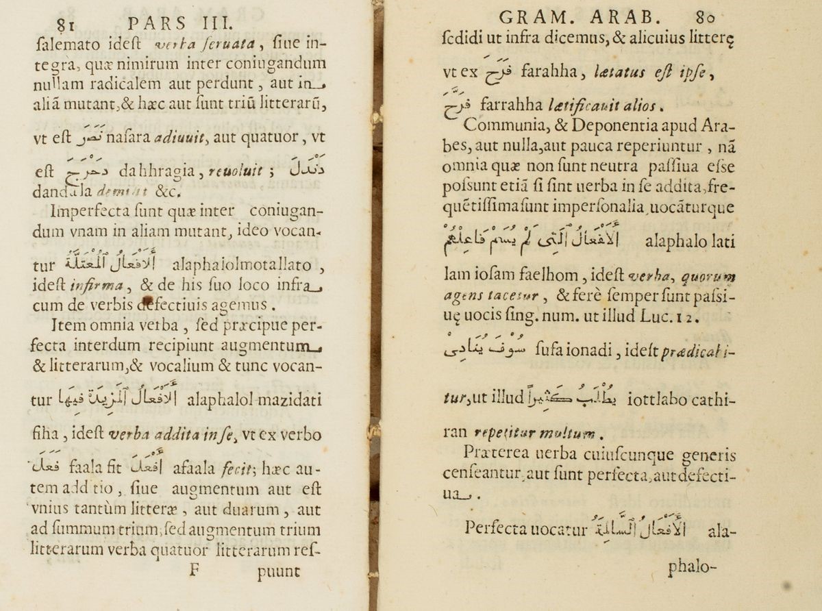 Pietro Metoscita - Institutiones linguae arabicae ex diversis arabum monumentis collectae