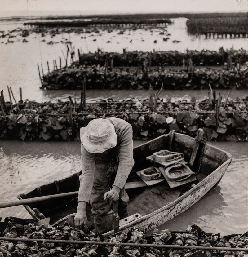 Ostreiculture Region de Marennes
