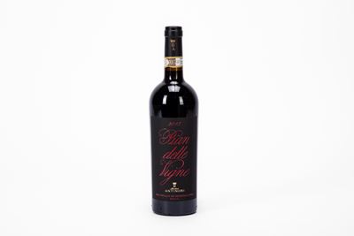 Marchesi Antinori Pian delle Vigne