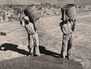 Senza titolo (Caff&egrave;)