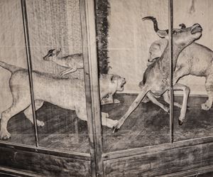 Museo della Scienza Reggio Emilia