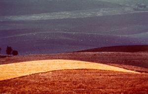 Senza titolo (Paesaggio)