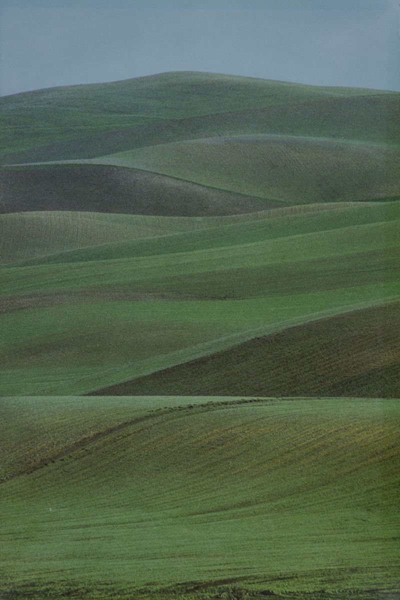 Franco Fontana - Paesaggio - C-print (1981)