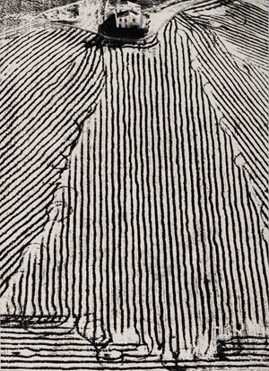 Presa di coscienza sulla natura