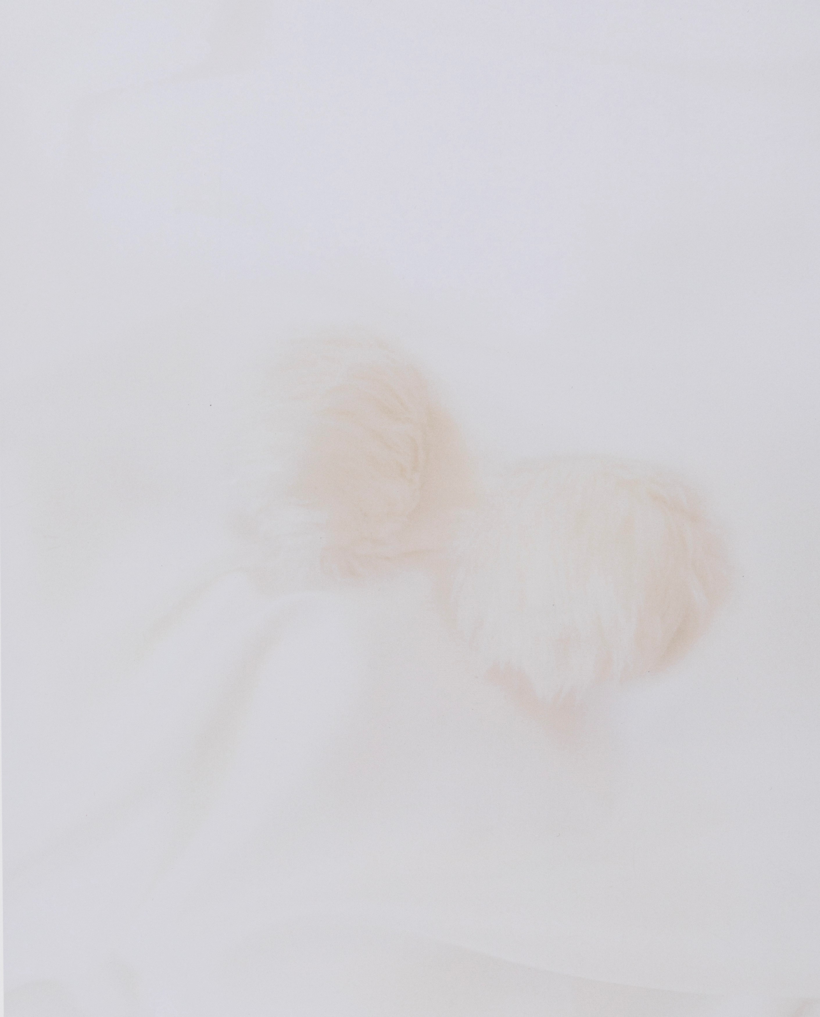 Isabelle Waternaux - Portfolio di 13 stampe a getto d'inchiostro