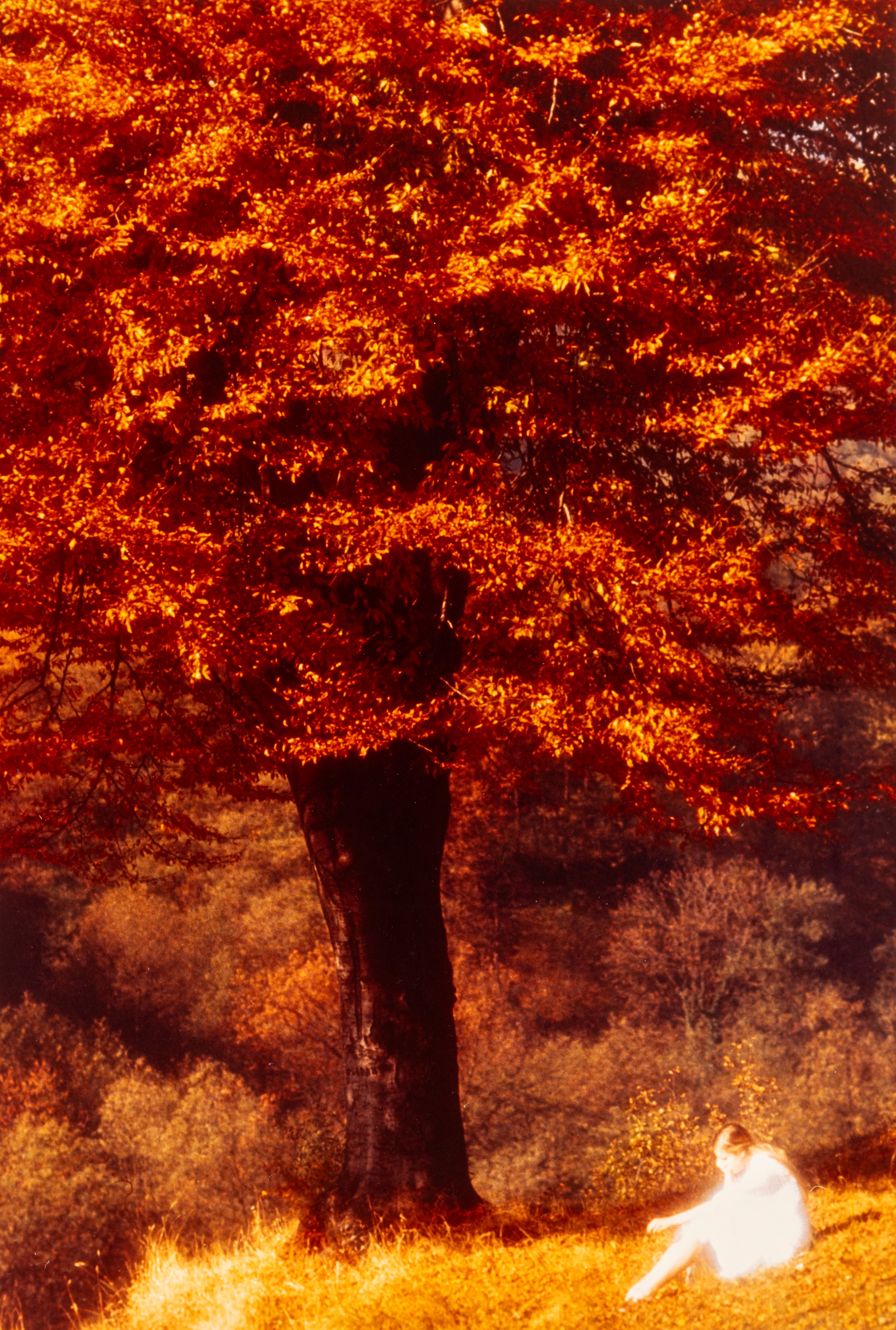Christiane. Il fascino di un'adolescenza