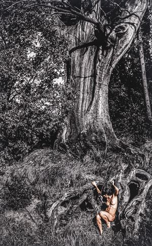 Toscana, Il Castagno