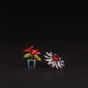 Small Poinsettia  e Red Marguerite