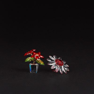 Piccole composizioni floreali in cristallo: Poinsettia e Marguerite rossa