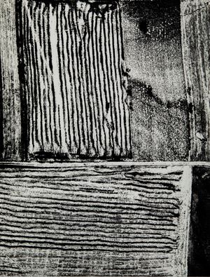 Presa di coscienza sulla natura