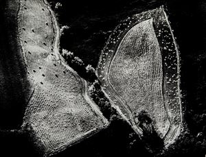 Presa di coscienza sulla natura