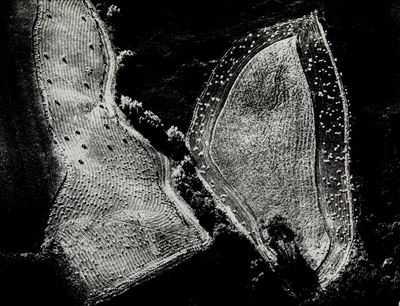 Presa di coscienza sulla natura, stampa vintage alla gelatina ai sali d'argento