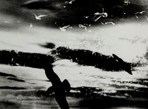 A Silvia di Giacomo Leopardi