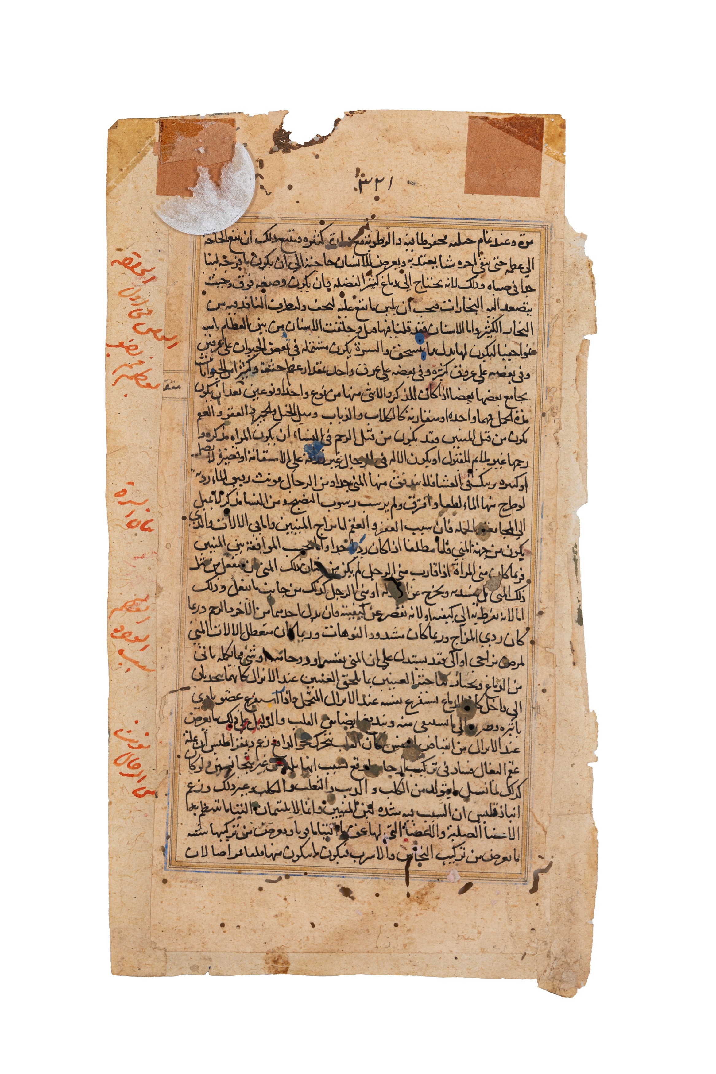 Miniatura indopersiana, tempera su carta