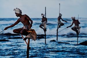 Stilt Fishermen, Weligama, South Coast, Sri Lanka