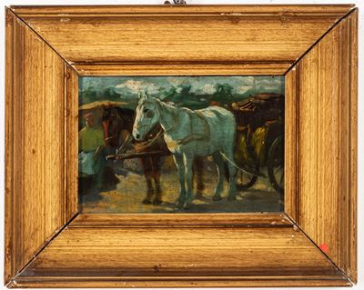 Cavallino bianco