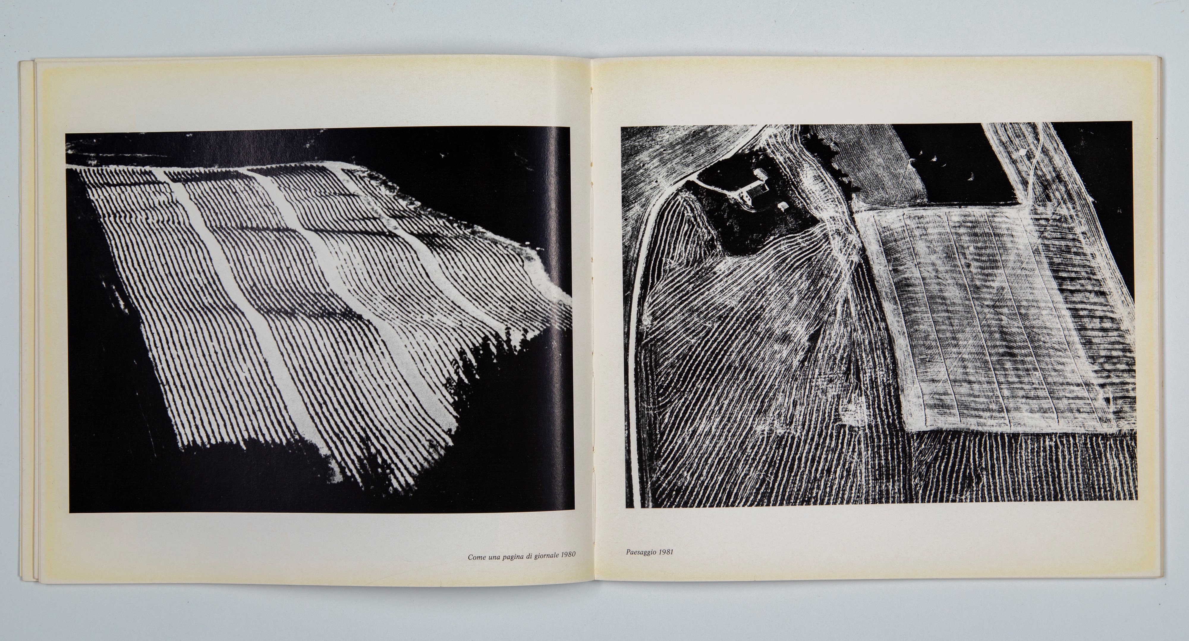 Mario Giacomelli - Presa di coscienza sulla natura, Stampa vintage alla gelatina ai sali d'argent...