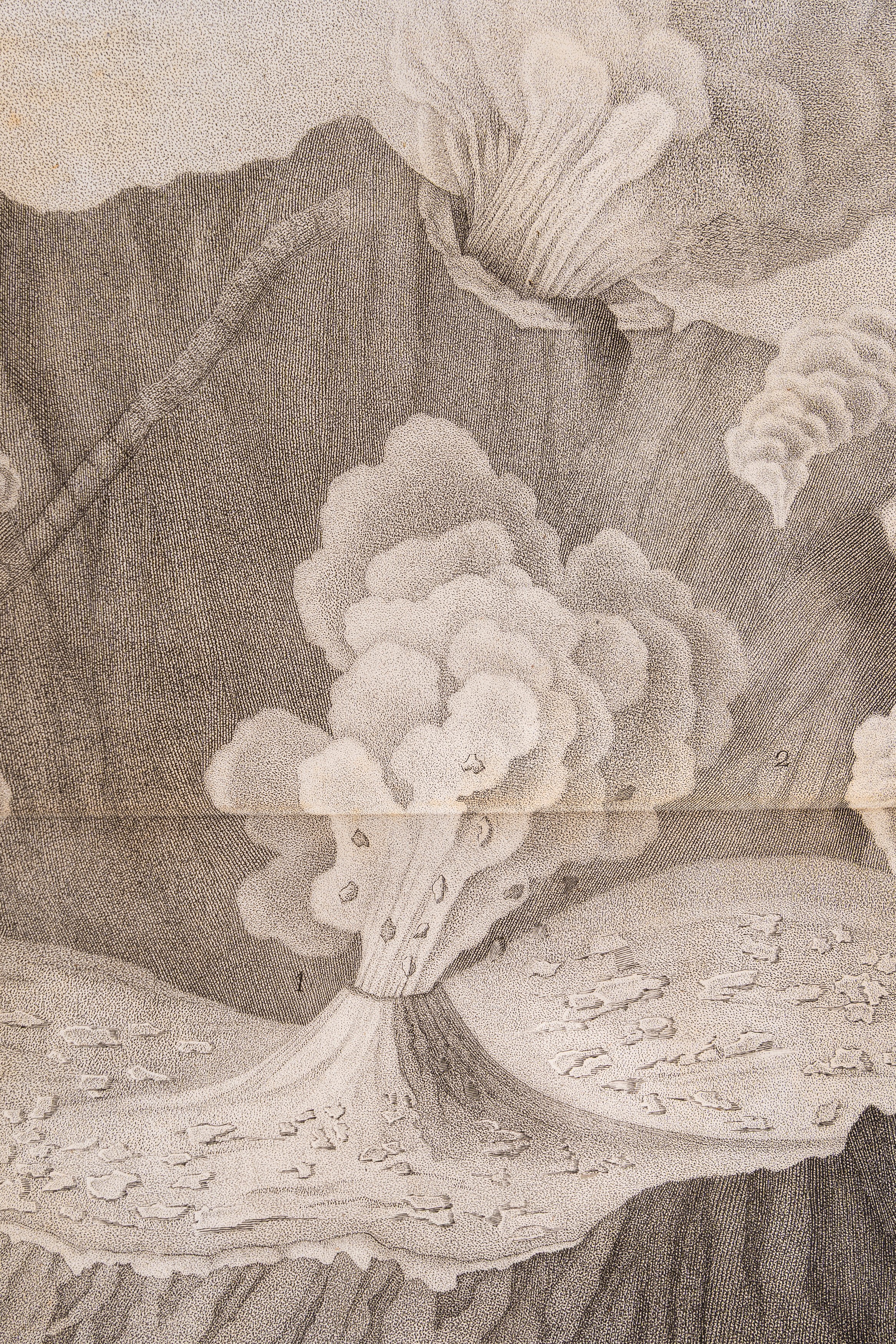 Memorie su le vicende del Vesuvio