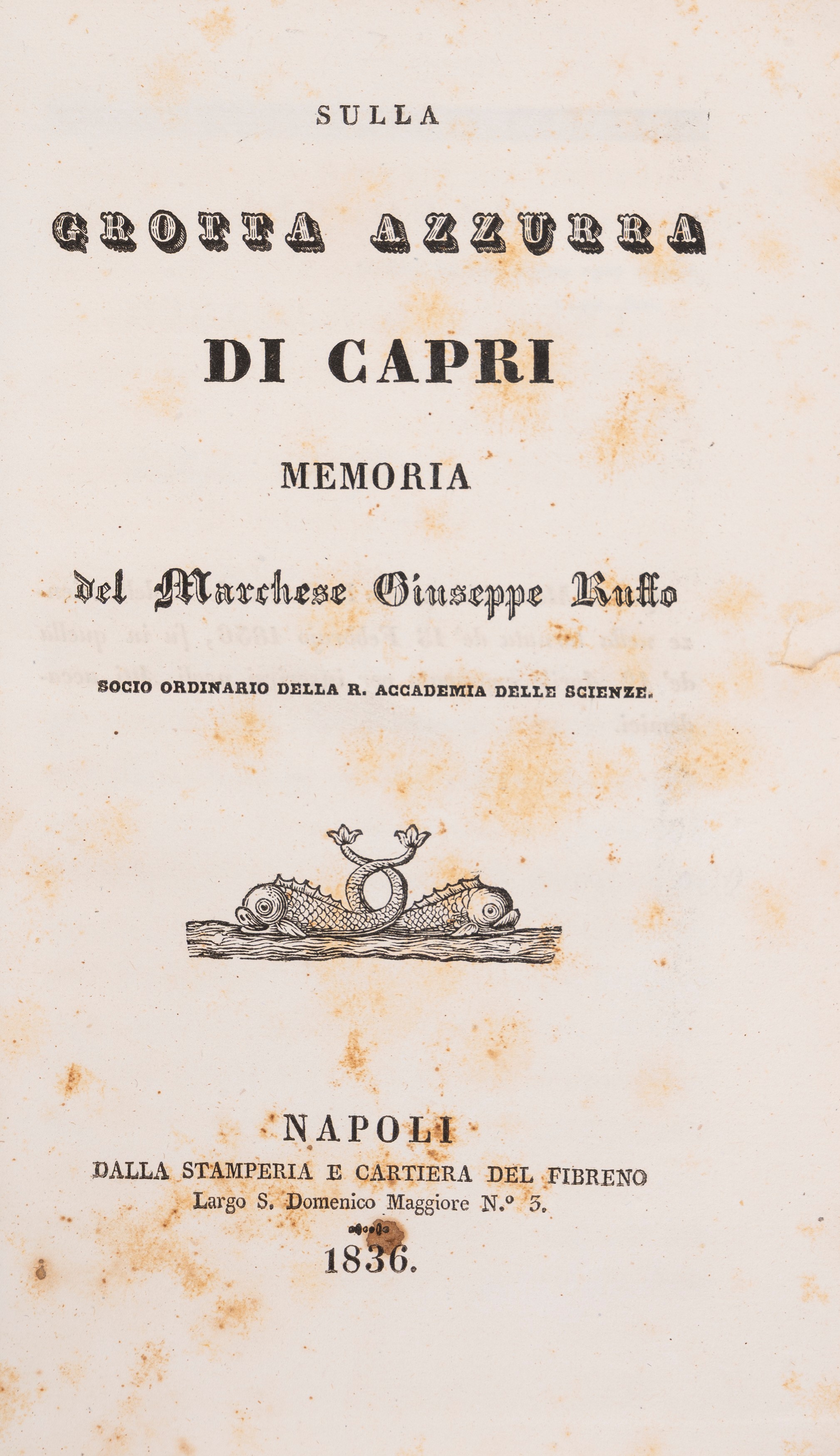 Ricerche storiche sull'Isola di Capri